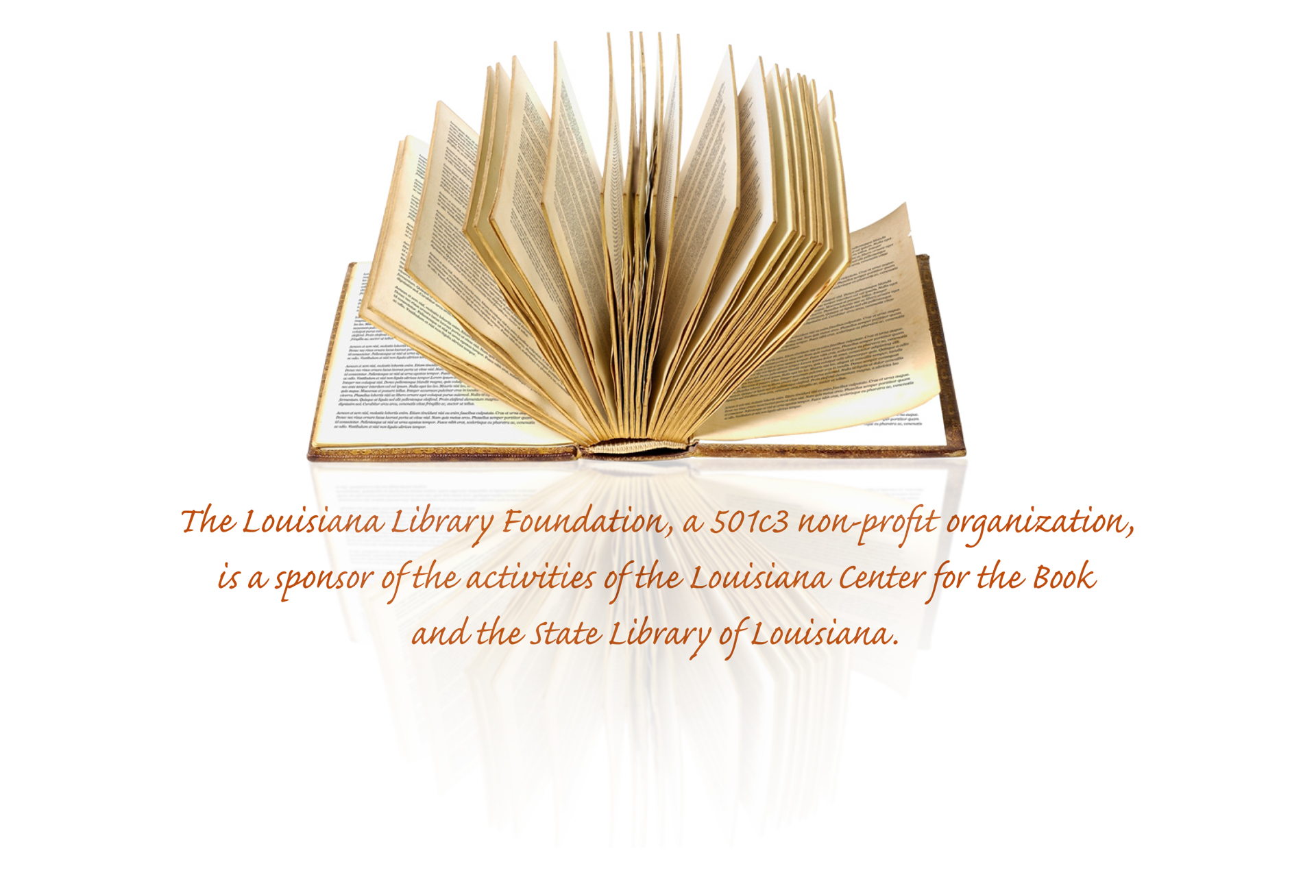 Louisiana Library Foundation Fundraising Brochure